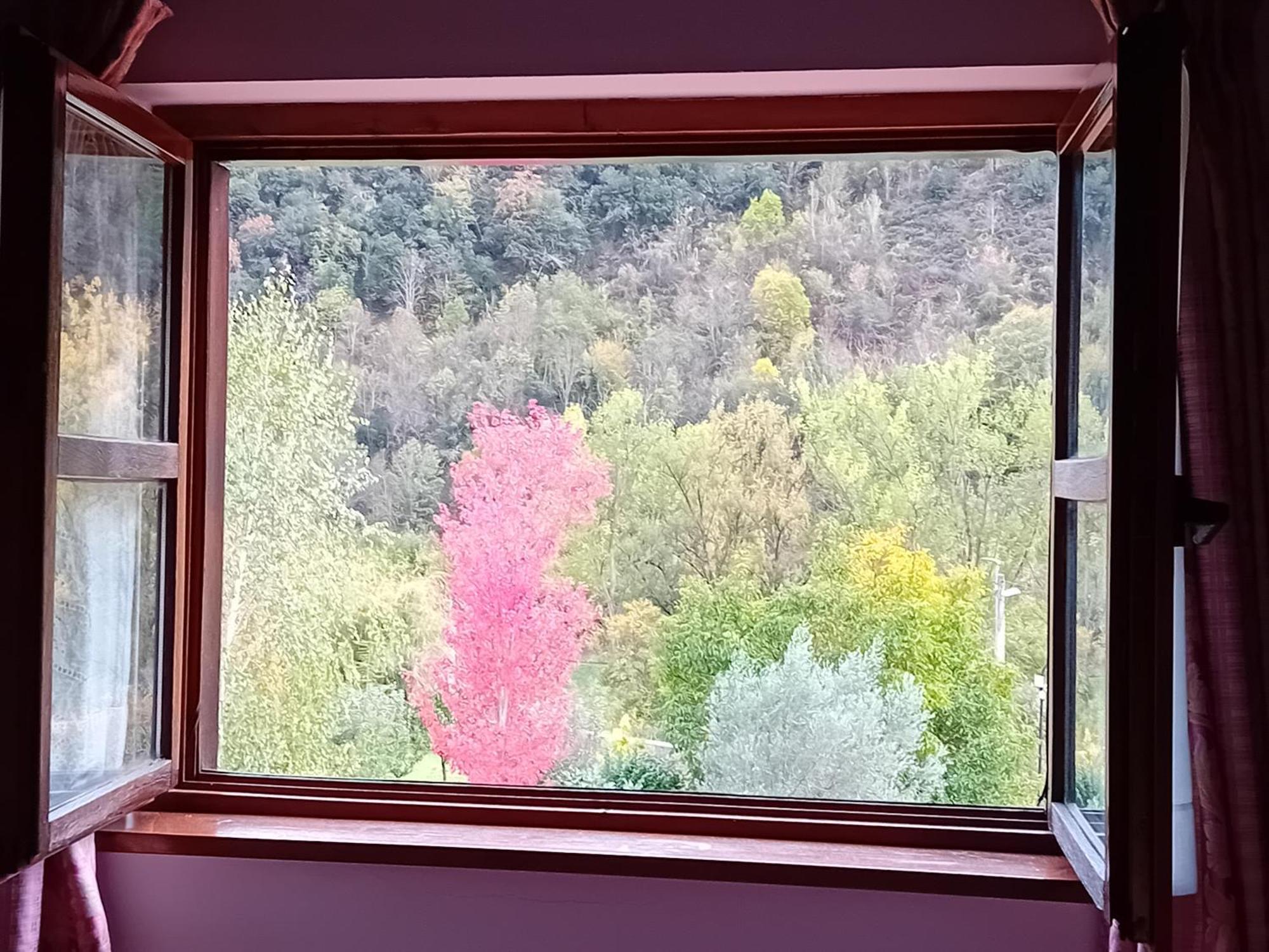 Picos De Europa Suites And Rooms Turieno Eksteriør bilde