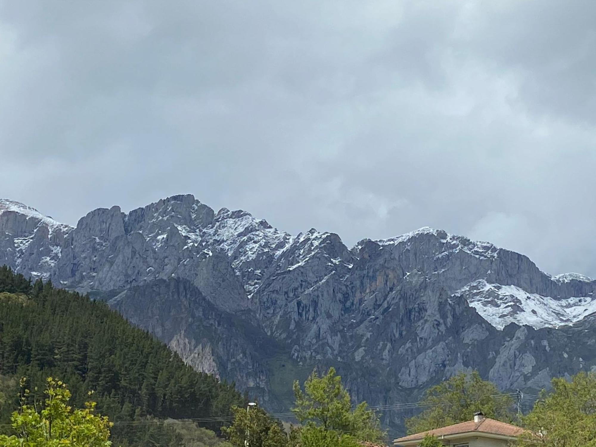 Picos De Europa Suites And Rooms Turieno Eksteriør bilde