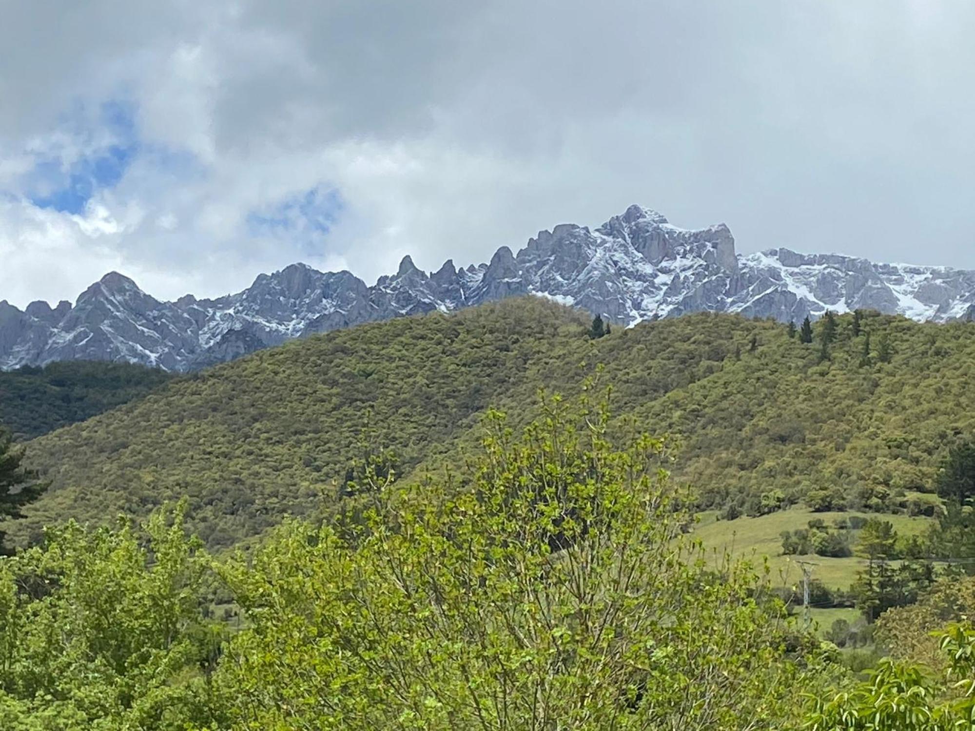 Picos De Europa Suites And Rooms Turieno Eksteriør bilde