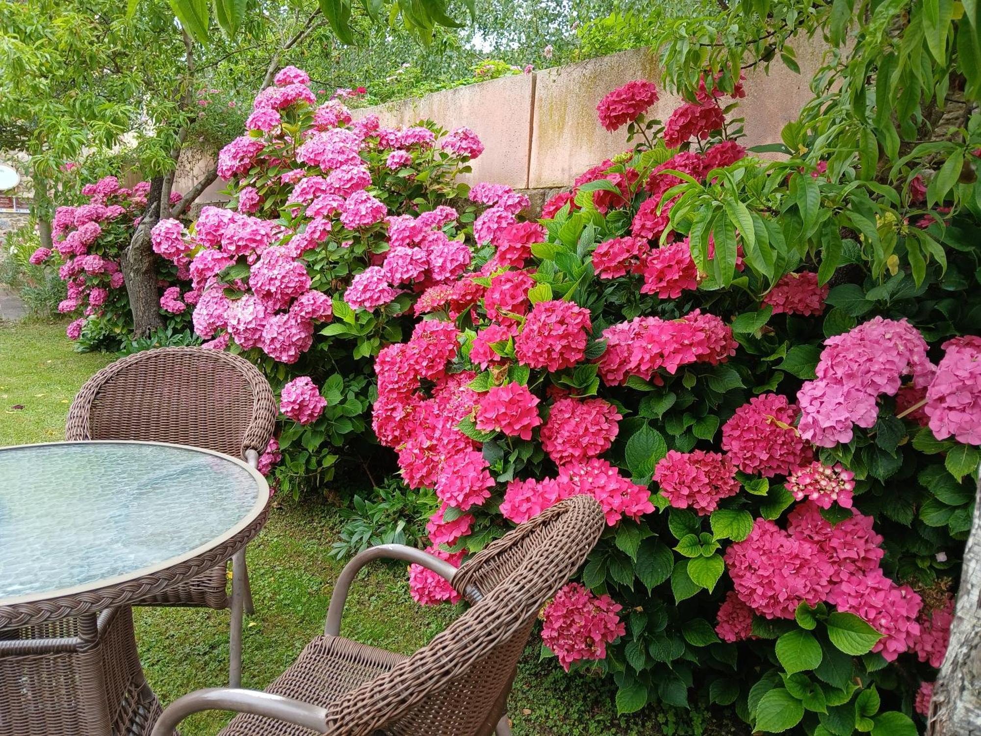 Picos De Europa Suites And Rooms Turieno Eksteriør bilde